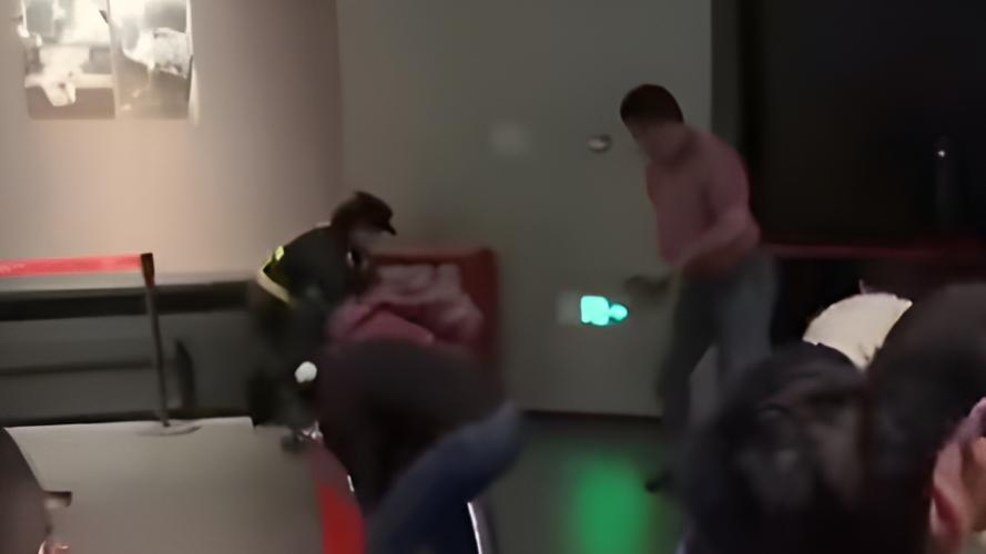 上海迪士尼游客打架,上海迪士尼游客打架视频