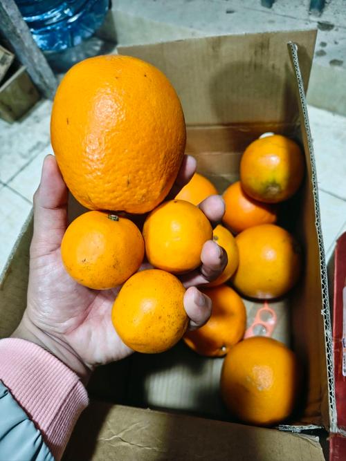 这几种水果买就后悔,买哪些水果