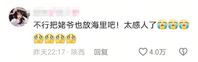 9只斑海豹放归大海,9只斑海豹放归大海了吗